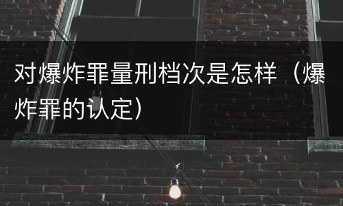 对爆炸罪量刑档次是怎样（爆炸罪的认定）
