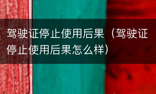 驾驶证停止使用后果（驾驶证停止使用后果怎么样）