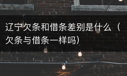 辽宁欠条和借条差别是什么（欠条与借条一样吗）
