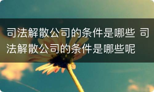 司法解散公司的条件是哪些 司法解散公司的条件是哪些呢