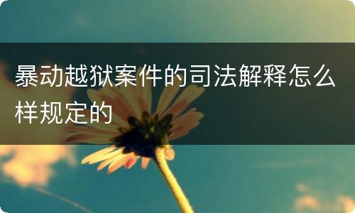 暴动越狱案件的司法解释怎么样规定的