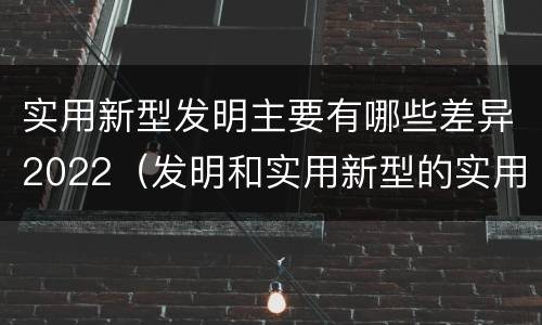实用新型发明主要有哪些差异2022（发明和实用新型的实用性）