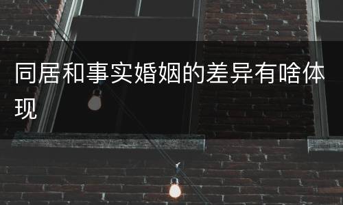 同居和事实婚姻的差异有啥体现
