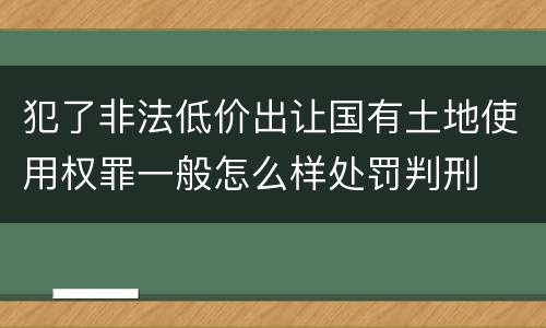 犯了非法低价出让国有土地使用权罪一般怎么样处罚判刑