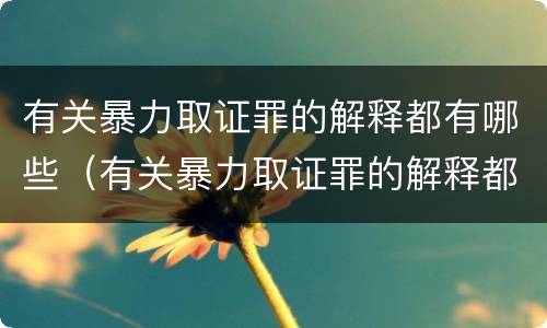 有关暴力取证罪的解释都有哪些（有关暴力取证罪的解释都有哪些规定）