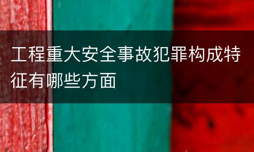 工程重大安全事故犯罪构成特征有哪些方面