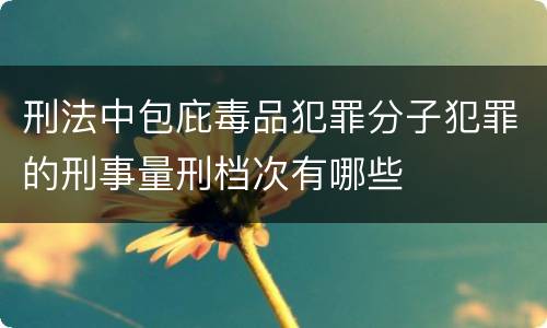 刑法中包庇毒品犯罪分子犯罪的刑事量刑档次有哪些