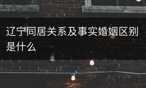 辽宁同居关系及事实婚姻区别是什么