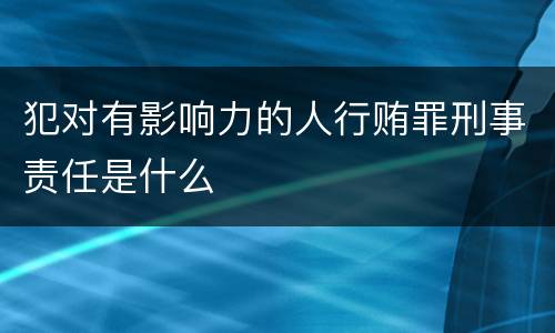 犯对有影响力的人行贿罪刑事责任是什么