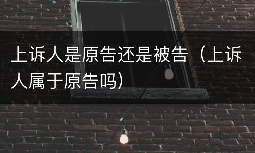 上诉人是原告还是被告（上诉人属于原告吗）