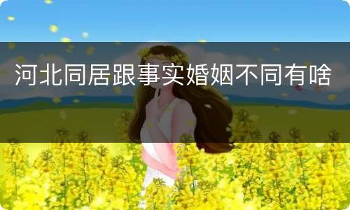 河北同居跟事实婚姻不同有啥