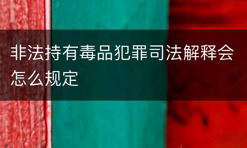 非法持有毒品犯罪司法解释会怎么规定
