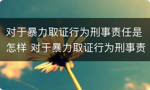 对于暴力取证行为刑事责任是怎样 对于暴力取证行为刑事责任是怎样认定的