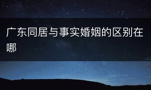 广东同居与事实婚姻的区别在哪