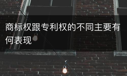 商标权跟专利权的不同主要有何表现