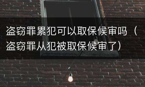 盗窃罪累犯可以取保候审吗（盗窃罪从犯被取保候审了）