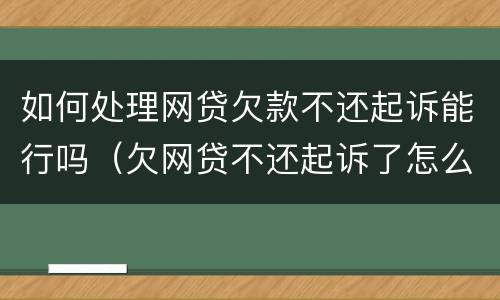 如何处理网贷欠款不还起诉能行吗（欠网贷不还起诉了怎么办）