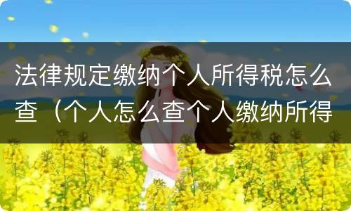 法律规定缴纳个人所得税怎么查（个人怎么查个人缴纳所得税）