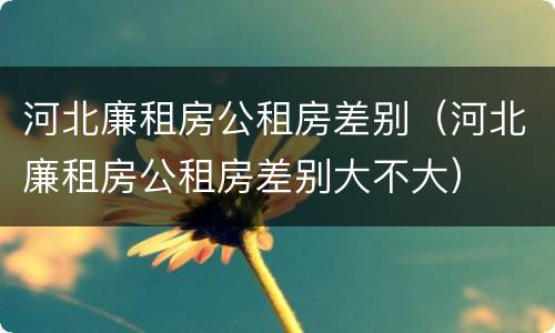 河北廉租房公租房差别（河北廉租房公租房差别大不大）