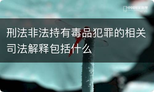 刑法非法持有毒品犯罪的相关司法解释包括什么