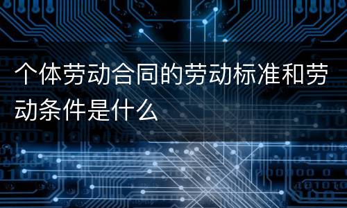 个体劳动合同的劳动标准和劳动条件是什么