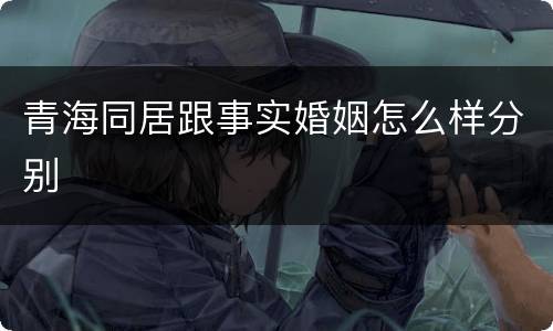 青海同居跟事实婚姻怎么样分别