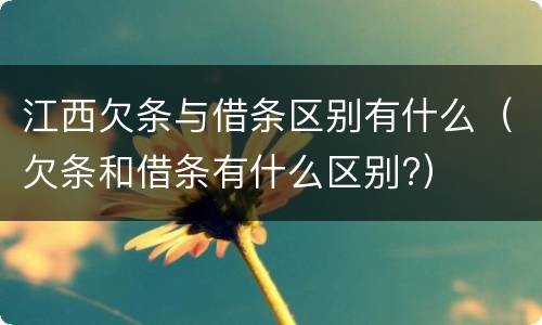 江西欠条与借条区别有什么（欠条和借条有什么区别?）
