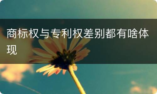 商标权与专利权差别都有啥体现