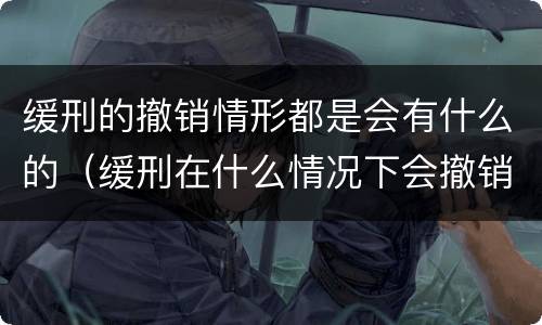 缓刑的撤销情形都是会有什么的（缓刑在什么情况下会撤销）