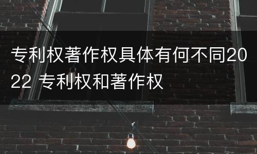 专利权著作权具体有何不同2022 专利权和著作权
