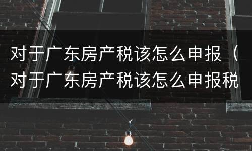 对于广东房产税该怎么申报（对于广东房产税该怎么申报税款）
