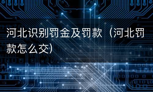 河北识别罚金及罚款（河北罚款怎么交）