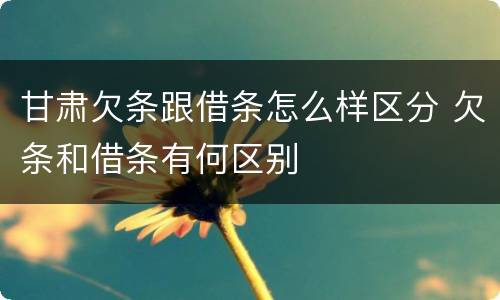 甘肃欠条跟借条怎么样区分 欠条和借条有何区别