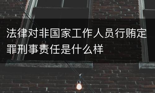法律对非国家工作人员行贿定罪刑事责任是什么样