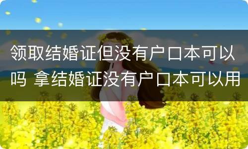 领取结婚证但没有户口本可以吗 拿结婚证没有户口本可以用什么手续