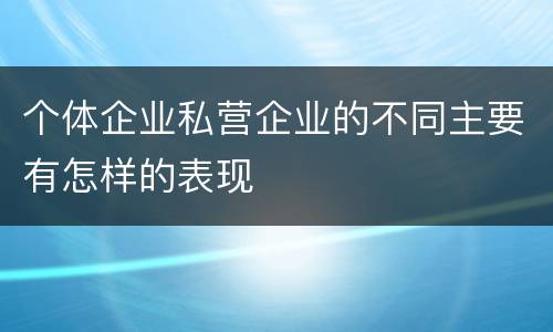 个体企业私营企业的不同主要有怎样的表现