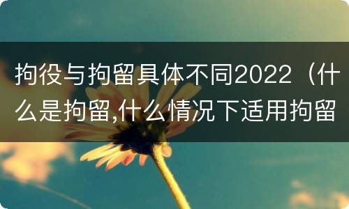 拘役与拘留具体不同2022（什么是拘留,什么情况下适用拘留）