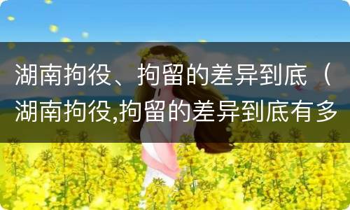 湖南拘役、拘留的差异到底（湖南拘役,拘留的差异到底有多大）