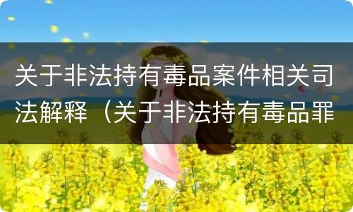 关于非法持有毒品案件相关司法解释（关于非法持有毒品罪）