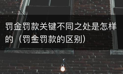 罚金罚款关键不同之处是怎样的（罚金罚款的区别）