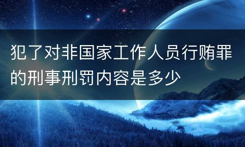 犯了对非国家工作人员行贿罪的刑事刑罚内容是多少