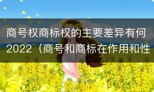 商号权商标权的主要差异有何2022（商号和商标在作用和性质上有较大区别）