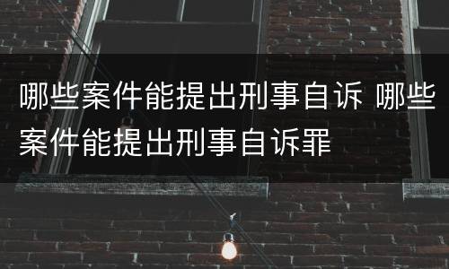 哪些案件能提出刑事自诉 哪些案件能提出刑事自诉罪