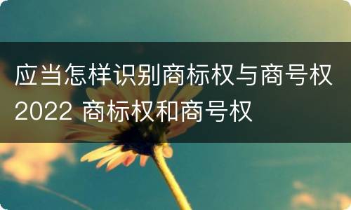 应当怎样识别商标权与商号权2022 商标权和商号权