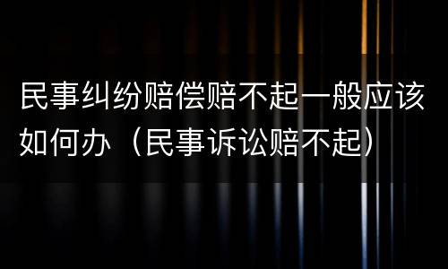 民事纠纷赔偿赔不起一般应该如何办（民事诉讼赔不起）