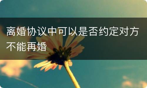 离婚协议中可以是否约定对方不能再婚