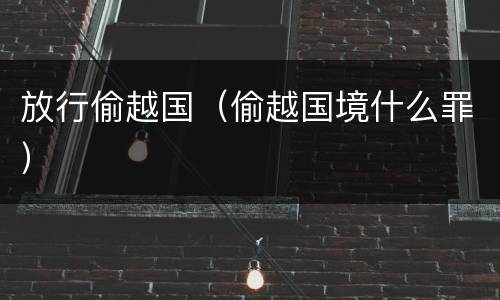 放行偷越国(偷越国境什么罪)