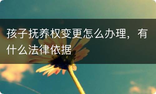 孩子抚养权变更怎么办理，有什么法律依据