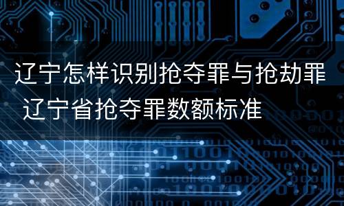 辽宁怎样识别抢夺罪与抢劫罪 辽宁省抢夺罪数额标准