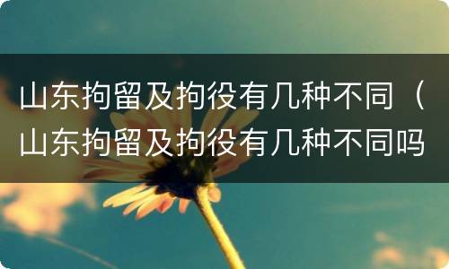 山东拘留及拘役有几种不同（山东拘留及拘役有几种不同吗）